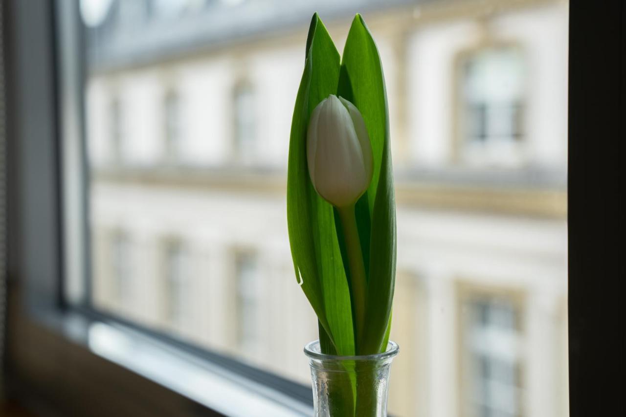 Sankt Andreas Hotel Dusseldorf Luaran gambar